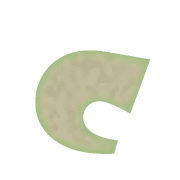 029