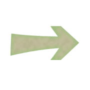 101