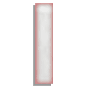 081