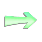 101