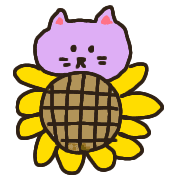 019