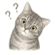 004