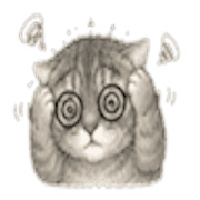 017