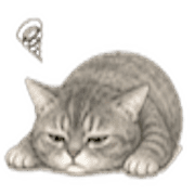 019