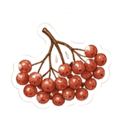 026