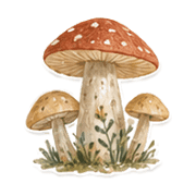 013