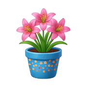 019