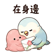 花信鳥｜訊息關心 預覽 6