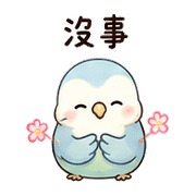 花信鳥｜訊息關心 預覽 7