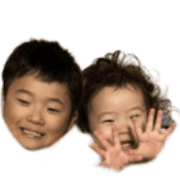 003