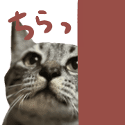 034