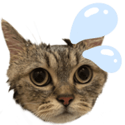 005