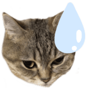 011