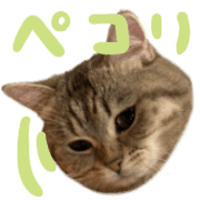 023