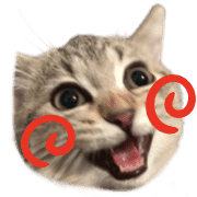 034