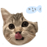 038