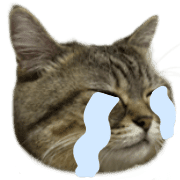 040