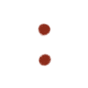 244