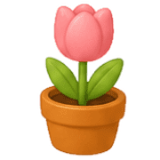 011