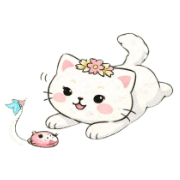 006