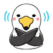 007
