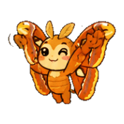 005