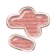 011