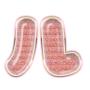 121