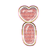 196
