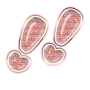 268