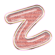 305