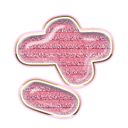 011