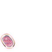 256