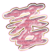 303