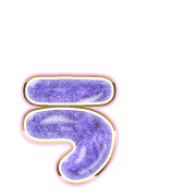 049