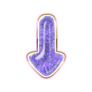 261