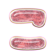 010