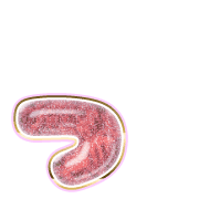 052