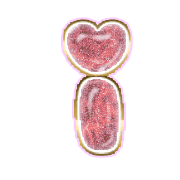 196