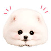 032