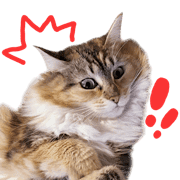 012
