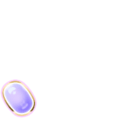 256