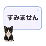 009