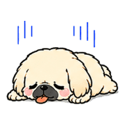 031