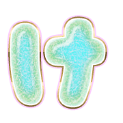 009