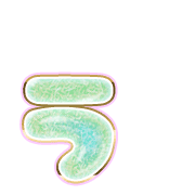 049