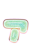 127