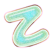 305