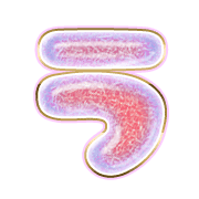 003