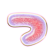 018